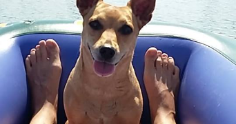 rafael pet sitter à ANNEMASSE 74100_3