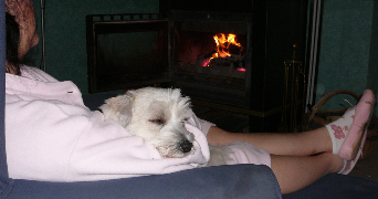 carine pet sitter à VILLENAVE D ORNON 33140_0