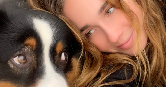 morgan pet sitter à TULLE 19000_8