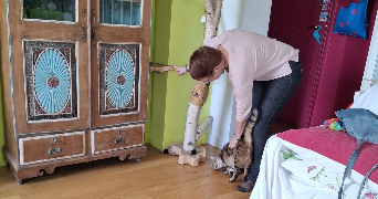 isabelle pet sitter à NANTERRE 92000_5