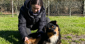 dorine pet sitter à ST GEOURS DE MAREMNE 40230_1