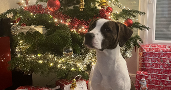 elise pet sitter à GRENOBLE 38000_2