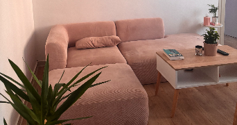 marina pet sitter à QUIMPER 29000_1
