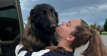 laurie pet sitter à Haguenau  67500_0