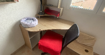 cerise pet sitter à PEXIORA 11150_5