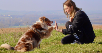 méline dog sitter à VARS 16330_1