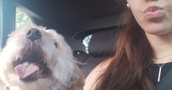 anaïs pet sitter à STRASBOURG 67200_2