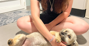 elise pet sitter à MANDRES LES ROSES 94520_6