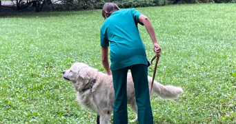 charlotte pet sitter à CAVAILLON 84300_1