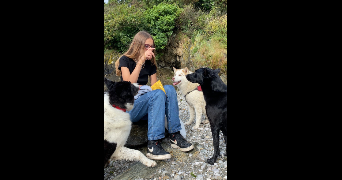 Maeline pet sitter à DIRINON 29460_2