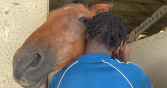 souleymane pet sitter à AIX EN PROVENCE 13290_1