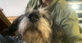 thomas pet sitter à PARIS 18 75018_2