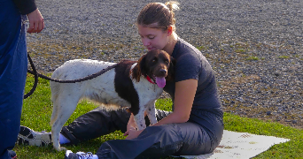 clementine pet sitter à LEVALLOIS PERRET 92300_2