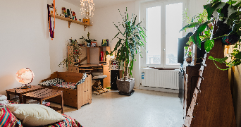 lucile pet sitter à ST ETIENNE 42000_1