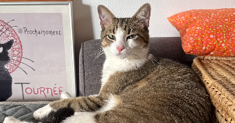 natacha pet sitter à L HAY LES ROSES 94240_1