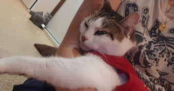 jérômine pet sitter à VANVES 92170_9