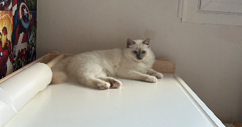 emilie pet sitter à PEROLS 34470_4