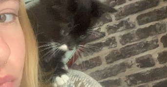 lénaïg pet sitter à RENNES 35700_5