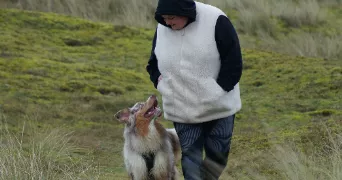 maïwenn pet sitter à BRECH 56400