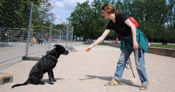 sarah pet sitter à LYON 03 69009_3