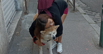 emmanuela pet sitter à LYON 07 69007_4