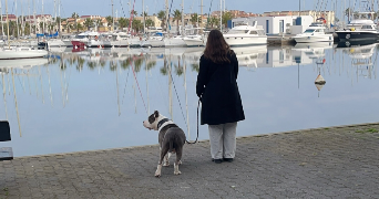 lea pet sitter à BOLLENE 84500