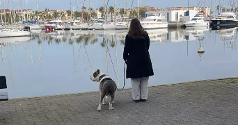 lea pet sitter à BOLLENE 84500