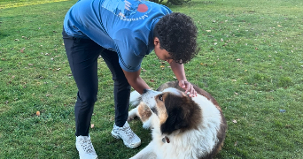 oscar pet sitter à PARIS 13 75013_1