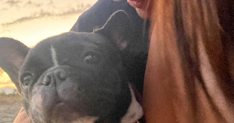 clara pet sitter à ST FARGEAU PONTHIERRY 77310_4