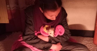 malaika pet sitter à ROANNE 42300_4