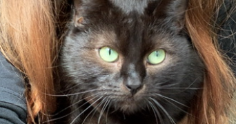 chloé  pet sitter à CLOUANGE 57185_2