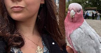 manon pet sitter à HAZEBROUCK 59190_5