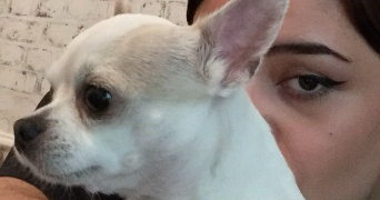 alyssia pet sitter à PARIS 12 75012_2