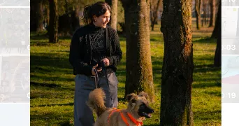 eryne pet sitter à Mont-Saint-Aignan 76130