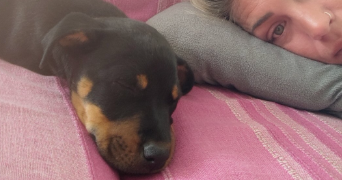angélique  pet sitter à BOYNES 45300_5