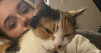 daphnée pet sitter à CAPPELLE EN PEVELE 59242_1