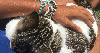 diane pet sitter à RENNES 35000_3