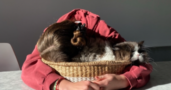 tasha pet sitter à MONT ST AIGNAN 76130_5