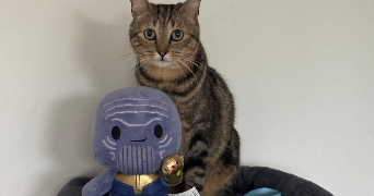 marie pet sitter à MAISONS ALFORT 94700_2