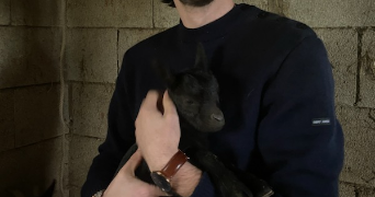 cyprien pet sitter à LILLE 59800_2