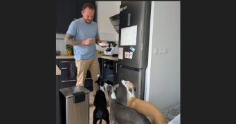 celian pet sitter à CREPY EN VALOIS 60800_1