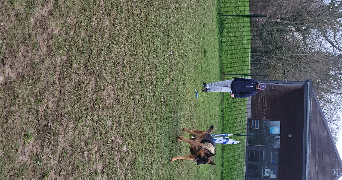 anais pet sitter à GAZERAN 78125_12