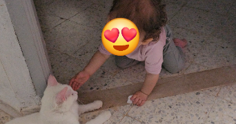 khaled pet sitter à BRUNOY 91800_1