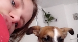 eva dog sitter à CAUDEBEC LES ELBEUF 76320_0