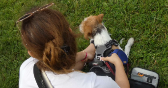 lucie pet sitter à LE MANS 72000_3