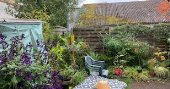 jane pet sitter à MOUZILLON 44330_1