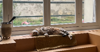 lara cat sitter à PARIS 11 75011_1