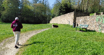 danielle pet sitter à ST JEAN DE BOISEAU 44640_2