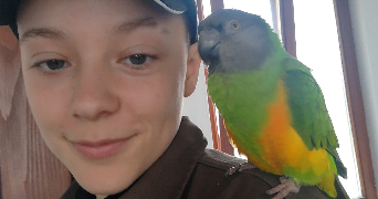 emilie pet sitter à STRASBOURG 67000_0