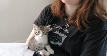 mila pet sitter à BREST 29200_8